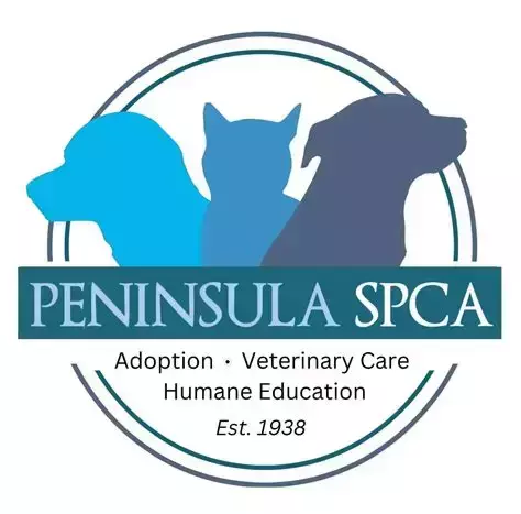 Where Paws Meet Party: Peninsula SPCA's Tailgate Festival - Where Paws Meet Party: Peninsula SPCA's Tailgate Festival