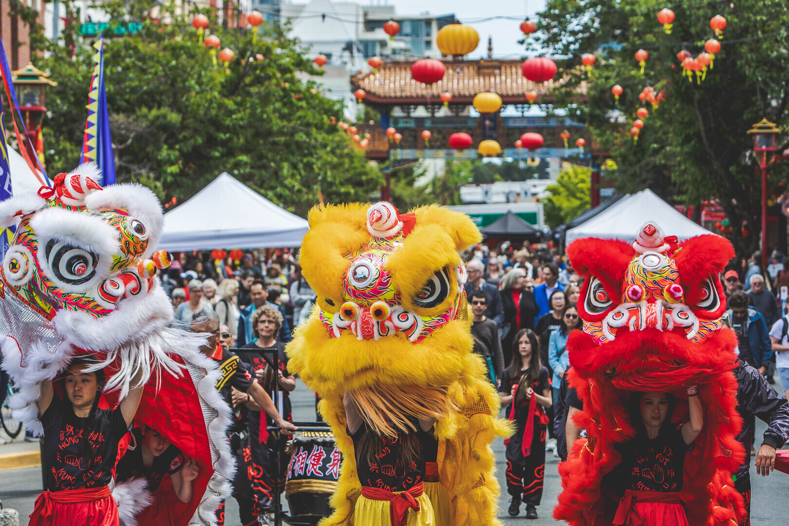 Awakening Chinatown - Awakening Chinatown