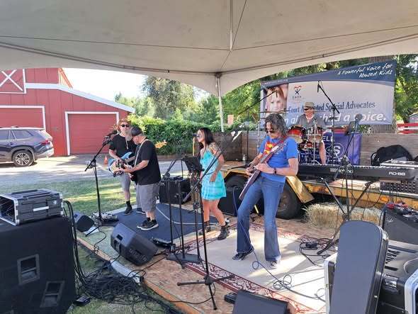 15th Annual Adkins Farm Blueberry Festival Blues and Brews