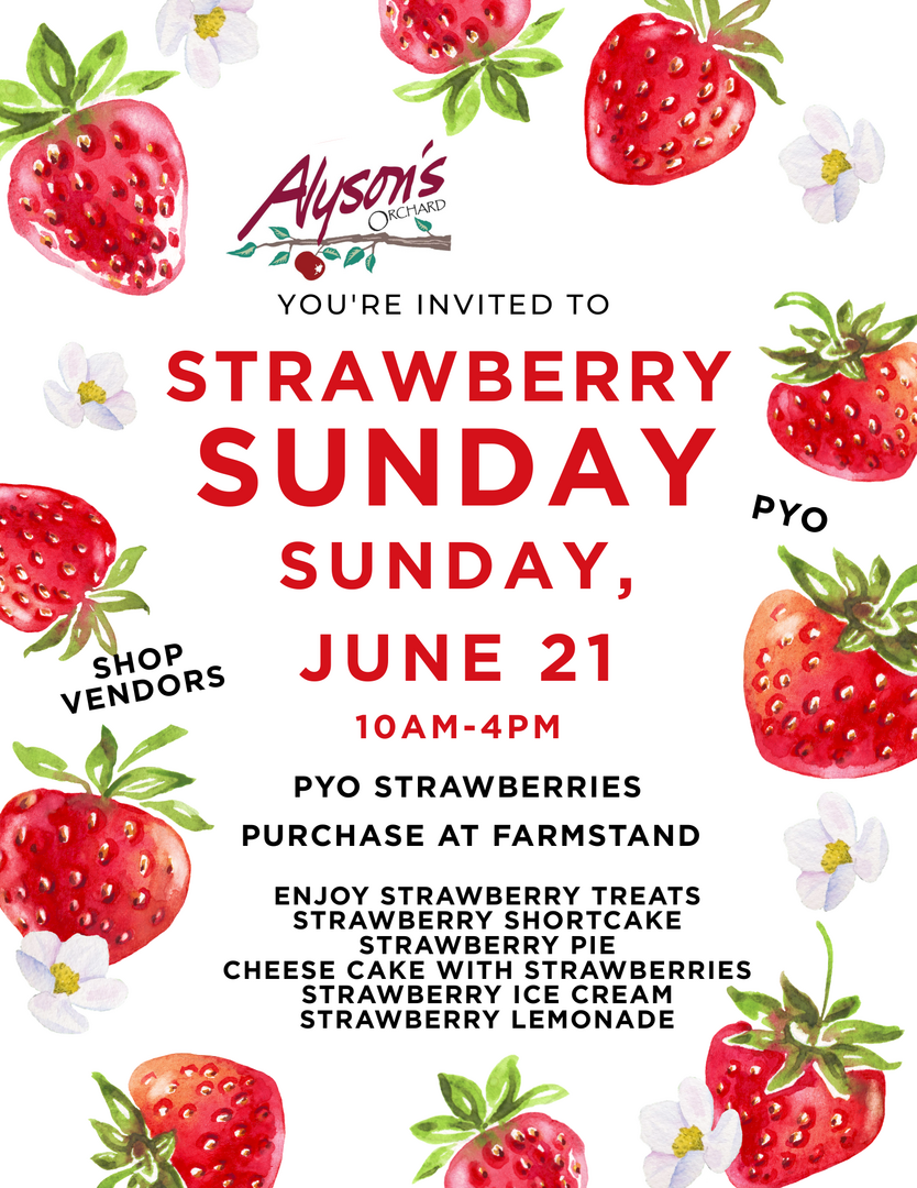 Strawberry Sunday at Alyson's Orchard