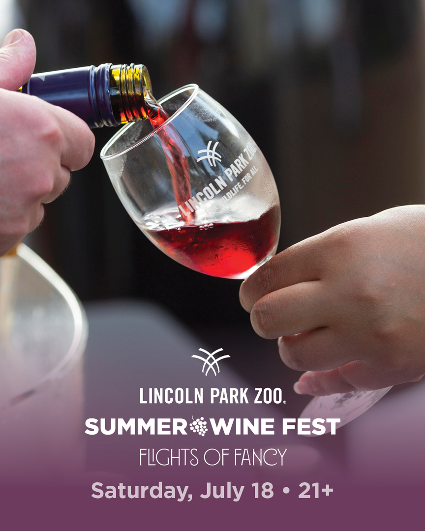 Summer Wine Fest: Flights of Fancy at Lincoln Park Zoo - Summer Wine Fest: Flights of Fancy at Lincoln Park Zoo