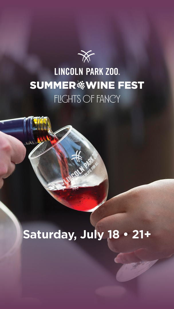 Summer Wine Fest: Flights of Fancy at Lincoln Park Zoo - Summer Wine Fest: Flights of Fancy at Lincoln Park Zoo