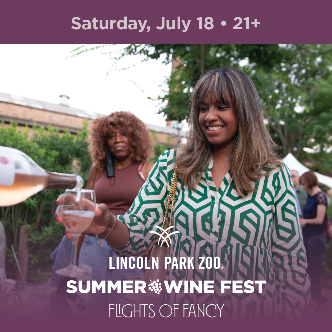 Summer Wine Fest: Flights of Fancy at Lincoln Park Zoo - Summer Wine Fest: Flights of Fancy at Lincoln Park Zoo