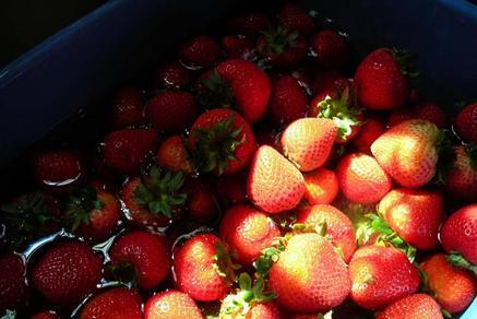Tuesday Club of Assonet 37th Annual Strawberry Festival