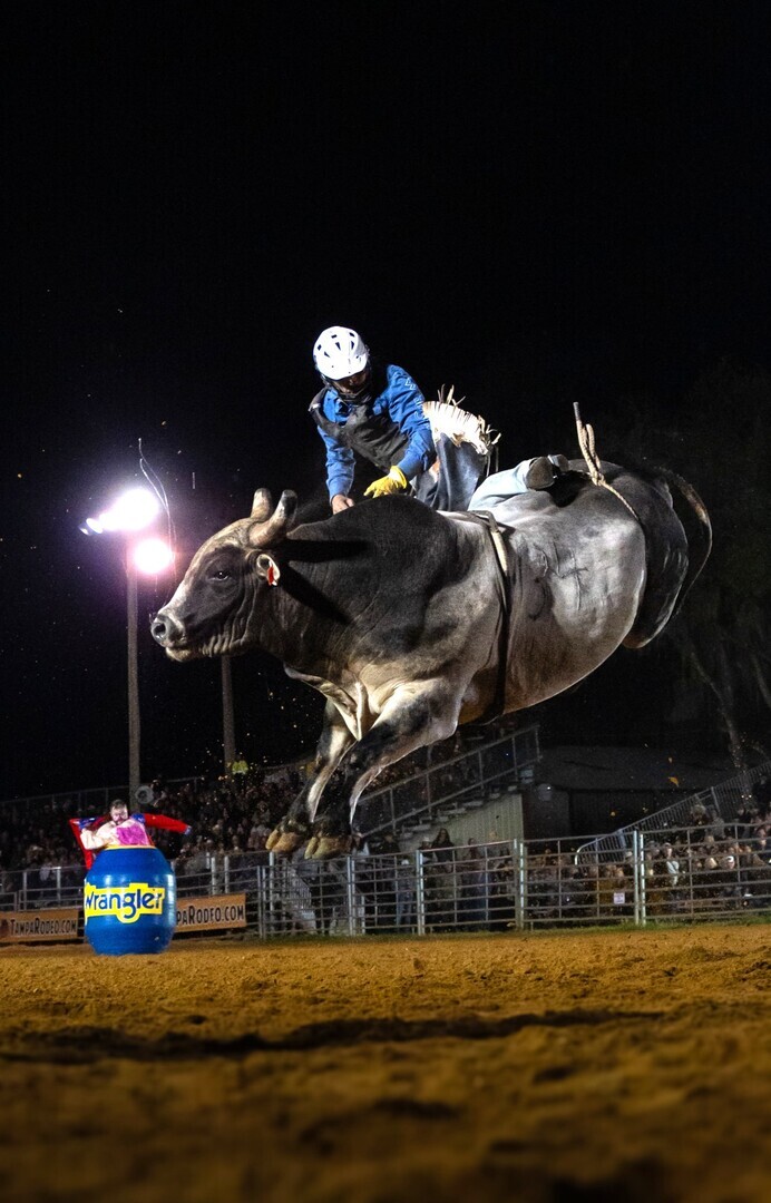 Ocala's Bull Bash & Country Music Festival - Ocala's Bull Bash & Country Music Festival