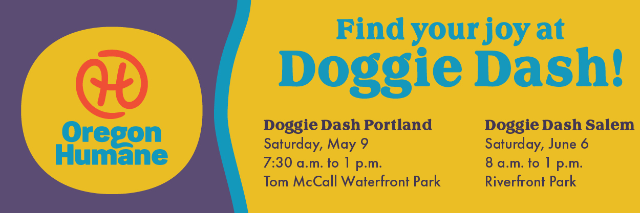 Doggie Dash Salem