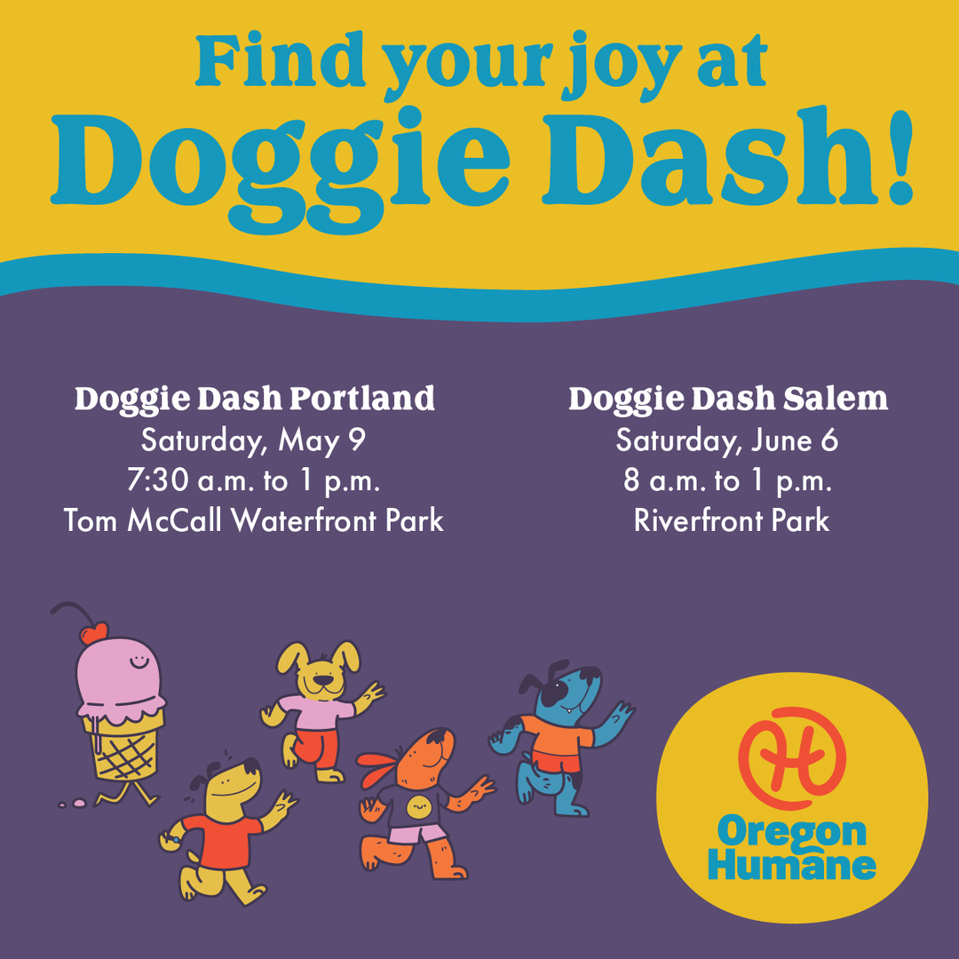 Doggie Dash Salem - Doggie Dash Salem