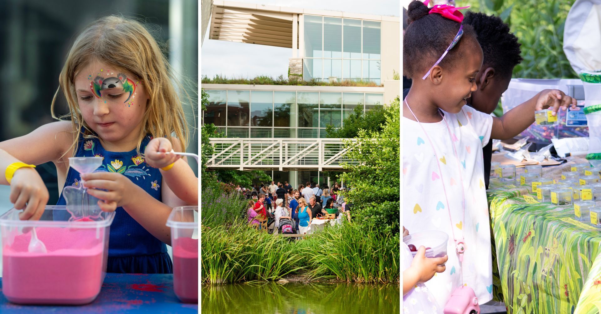 Summer Nature Fest
