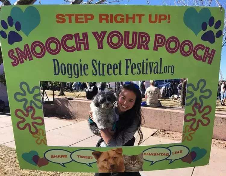 17th Annual Doggie Street Festival & Adopt-A-Thon San Diego - 17th Annual Doggie Street Festival & Adopt-A-Thon San Diego