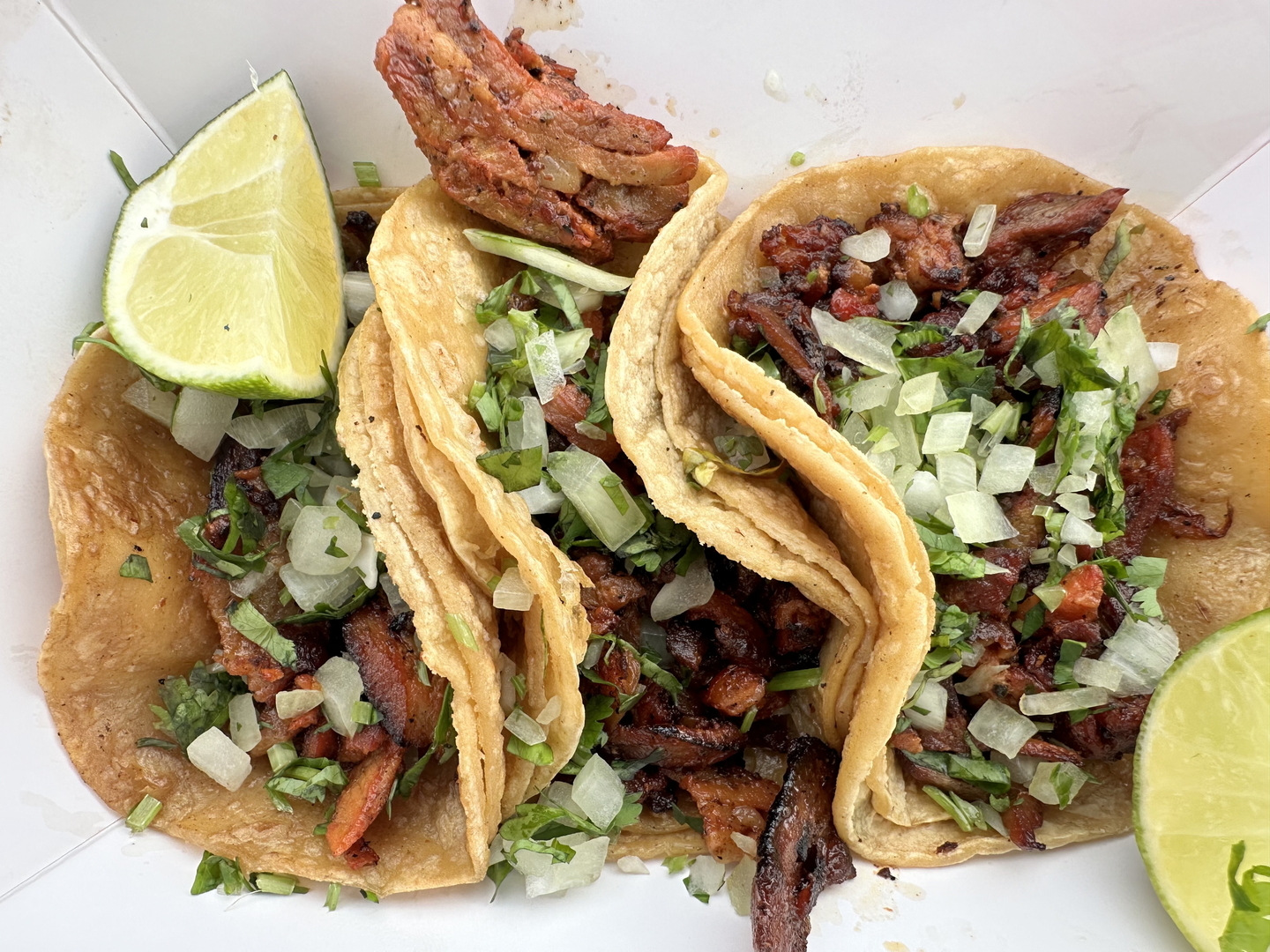 Tacos y Tamales Festival 2026 - Tacos y Tamales Festival 2026