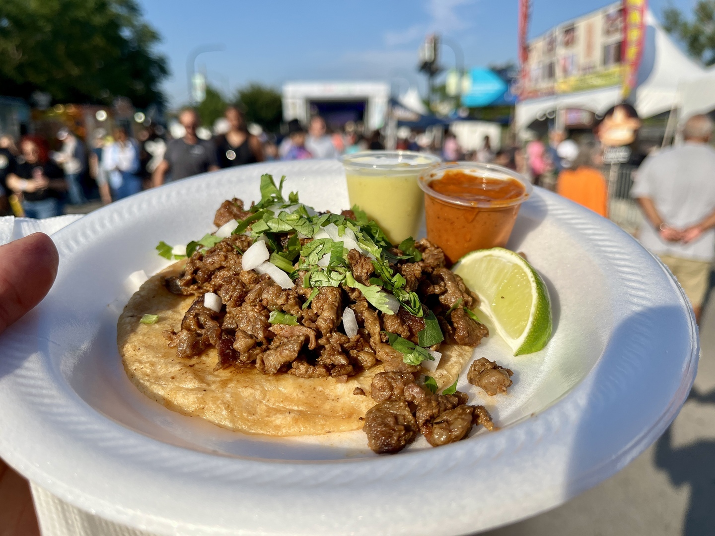 Tacos y Tamales Festival 2026 - Tacos y Tamales Festival 2026
