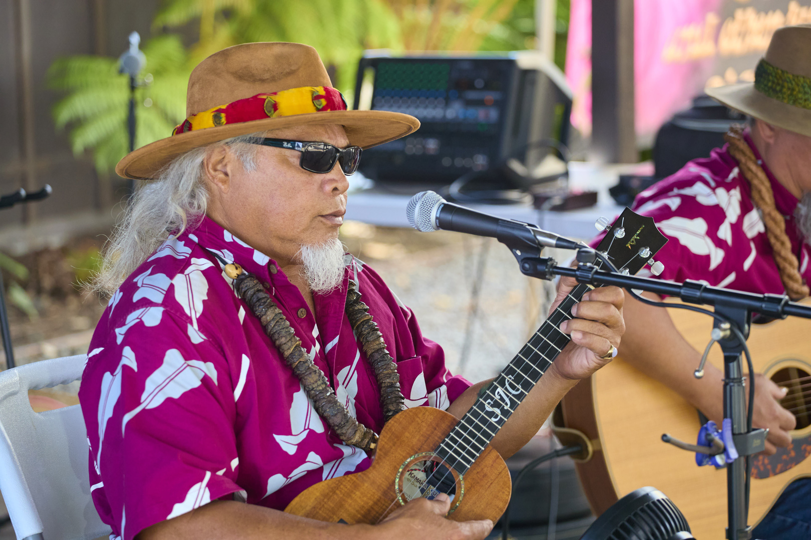 7th Annual Experience Volcano Festival - 7th Annual Experience Volcano Festival