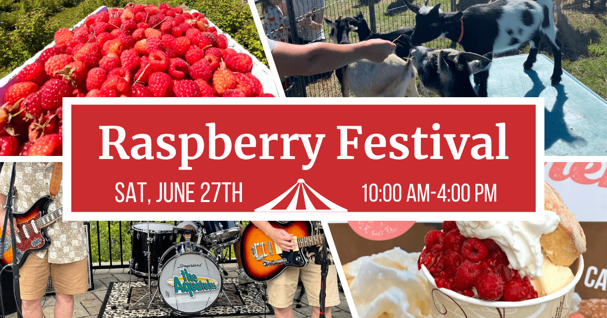 Raspberry Festival