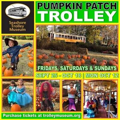 【入手困難】Dolly「Pumpkin carriage parade」会場限定 hero_Sept_and_Oct_Pumkpin_Trol