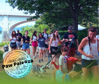 Paw Palooza