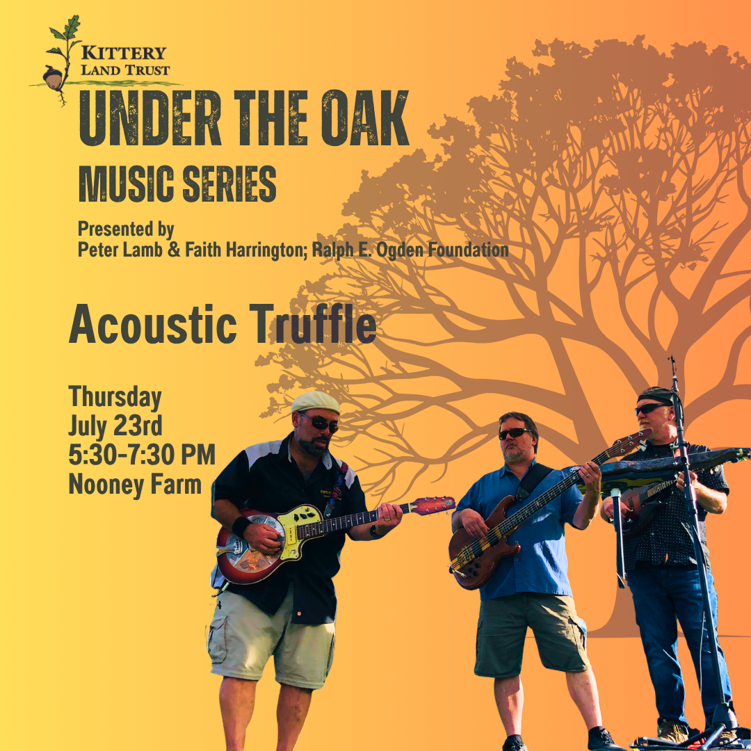 Under the Oak Music Series Presents Acoustic Truffle