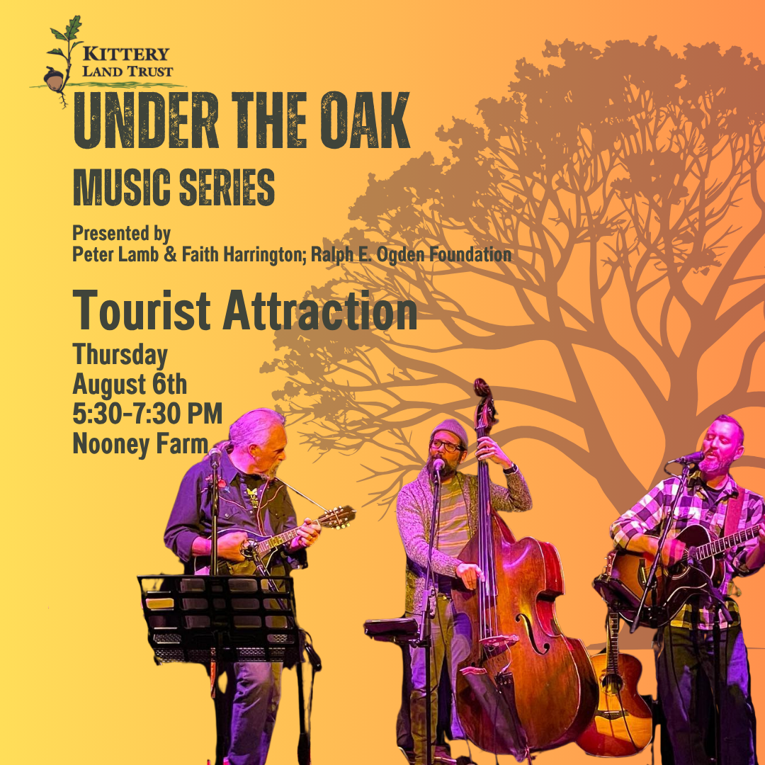 Under The Oak Music Series Presents Tourist Attraction