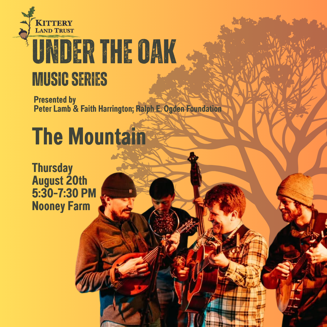 Under The Oak Music Series Presents The Mountain