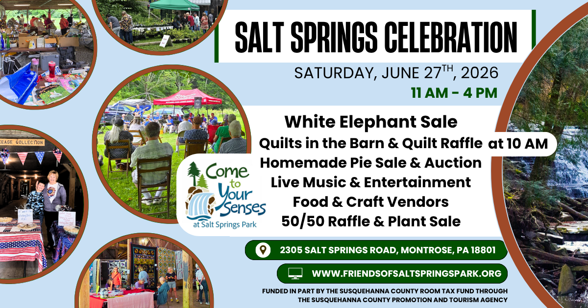 Salt Springs Celebration
