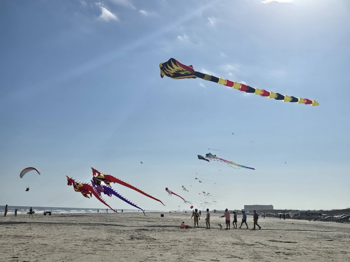 39th Annual Carolina Kite Festival