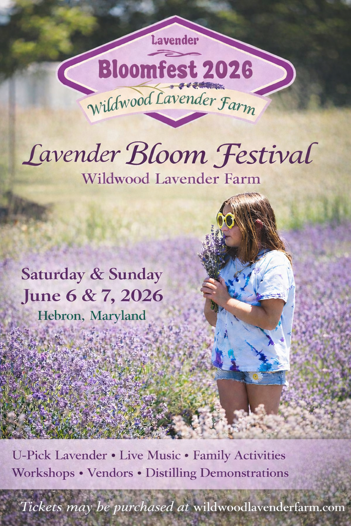 Lavender Bloom Festival at Wildwood Lavender Farm