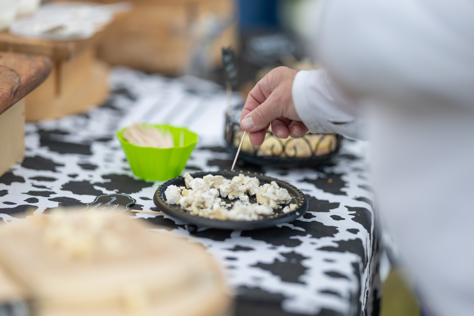 Cheese Fest - Cheese Fest