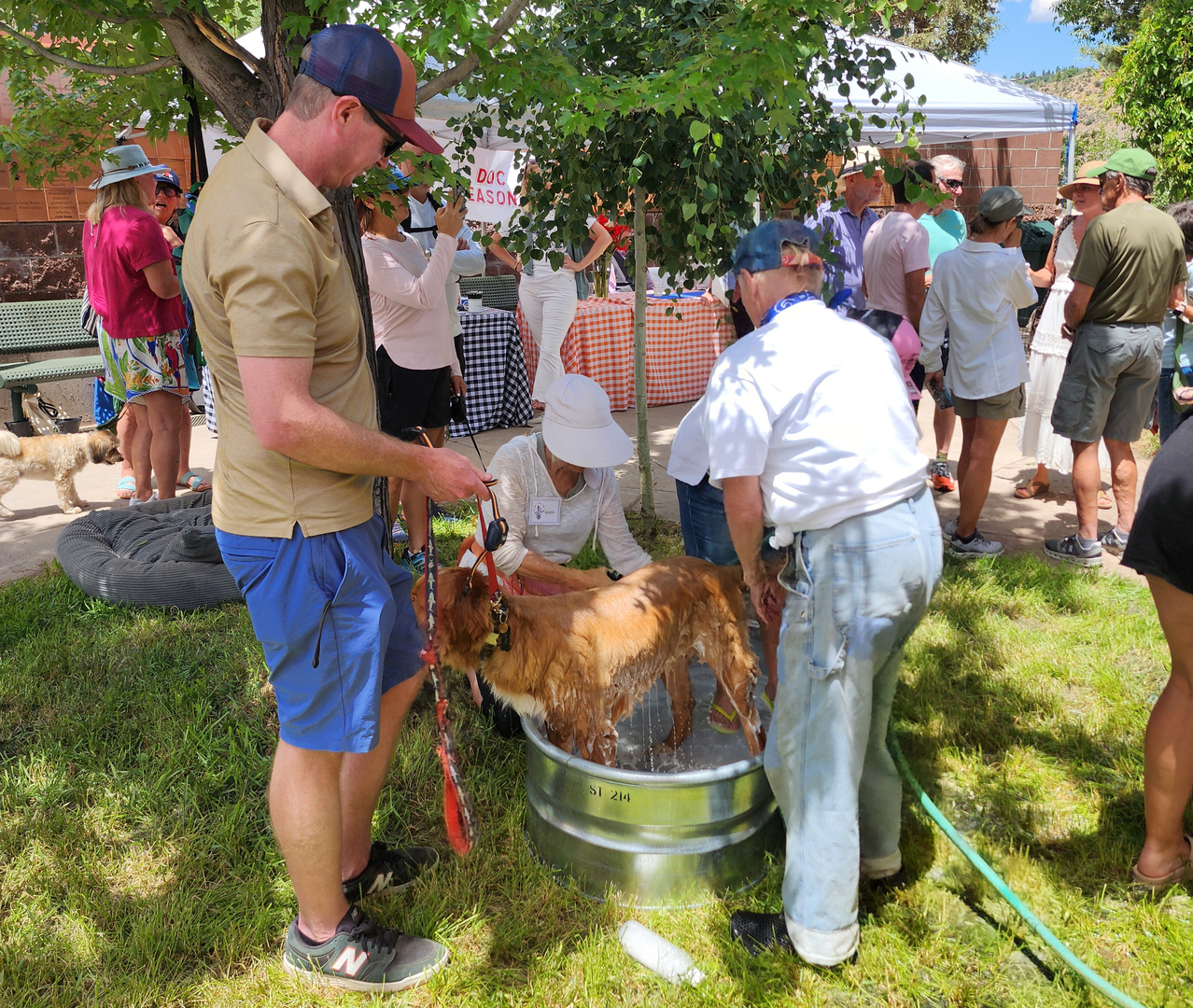 Dog Day Afternoon Community Carnival