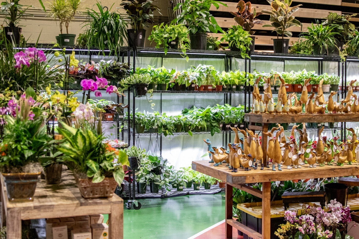 Capital Region Flower & Garden Expo - Capital Region Flower & Garden Expo