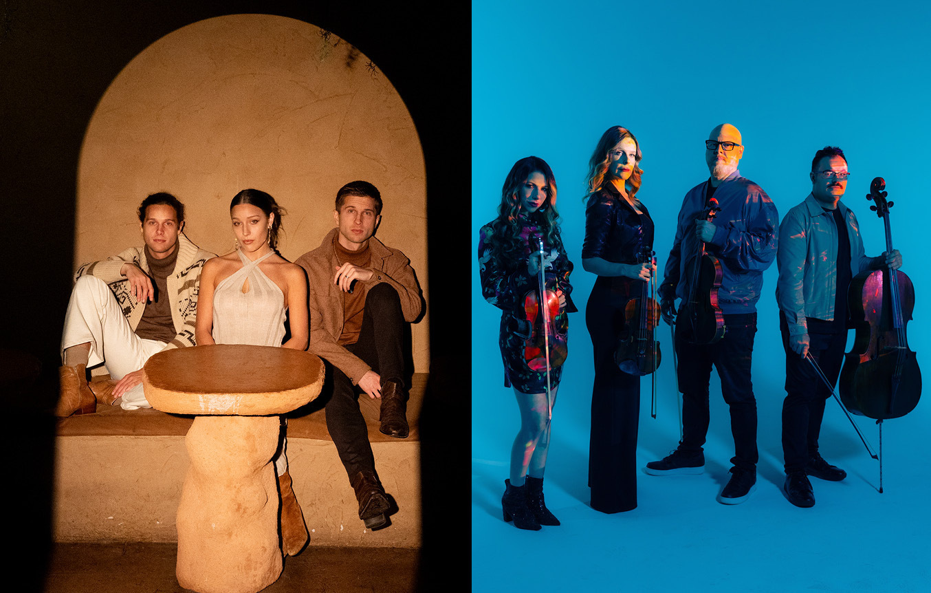 Vitamin String Quartet & Girl Named Tom