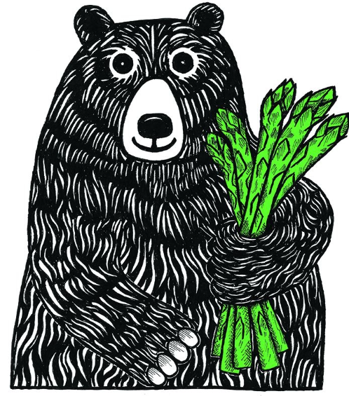 2026 Empire Asparagus Festival