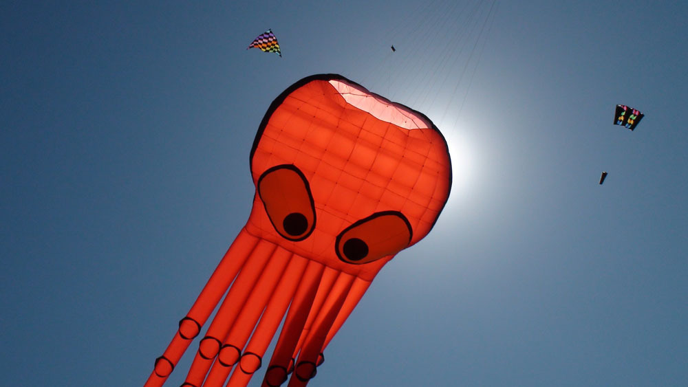 IKEA Outta Sight Kite Flight - IKEA Outta Sight Kite Flight