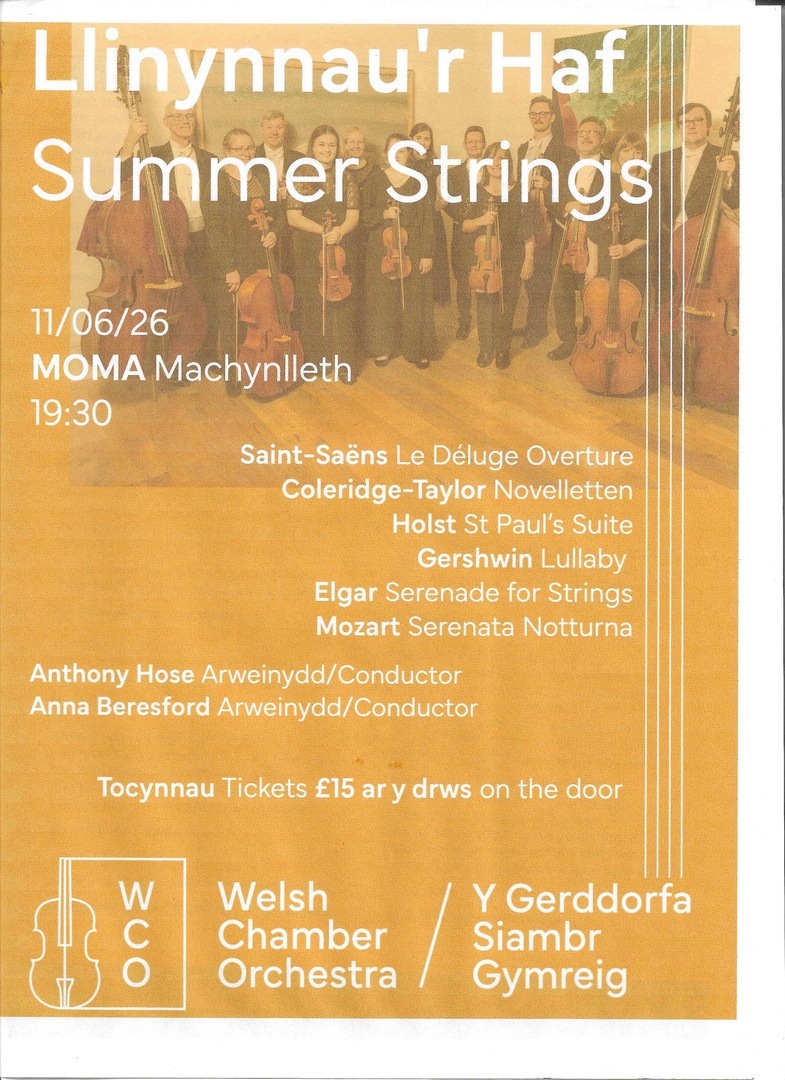 Welsh Chamber Orchestra concert