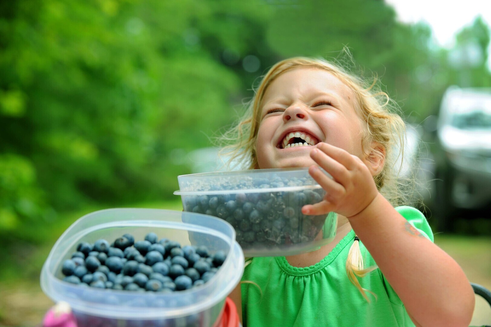 11th Annual Blueberry Fest