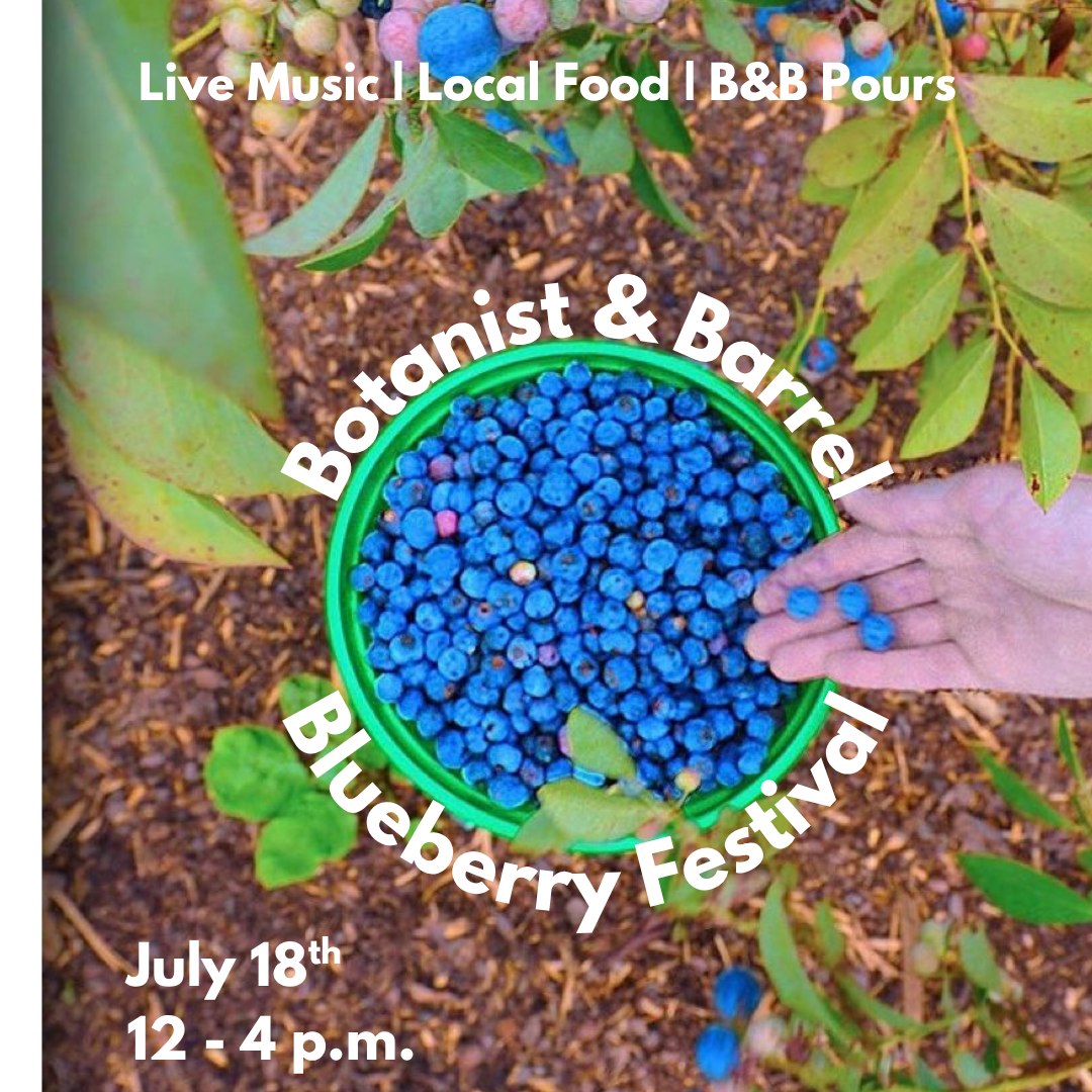 11th Annual Blueberry Fest - 11th Annual Blueberry Fest