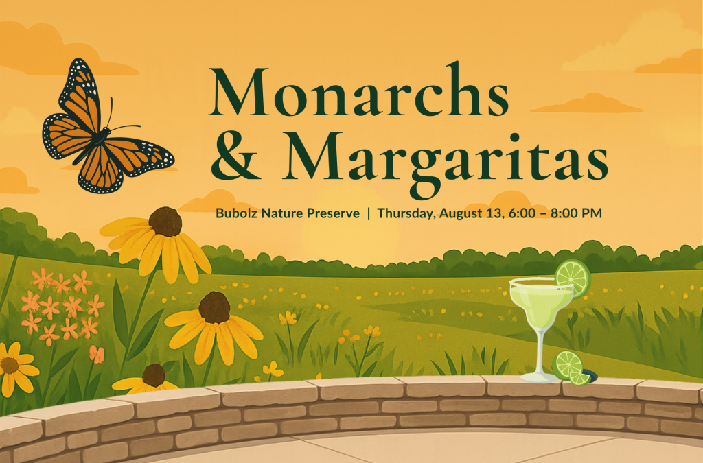 Monarchs & Margaritas