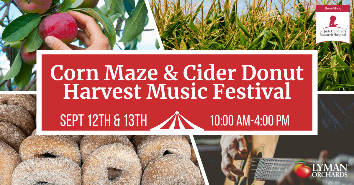 Corn Maze & Cider Donut Harvest Music Festival