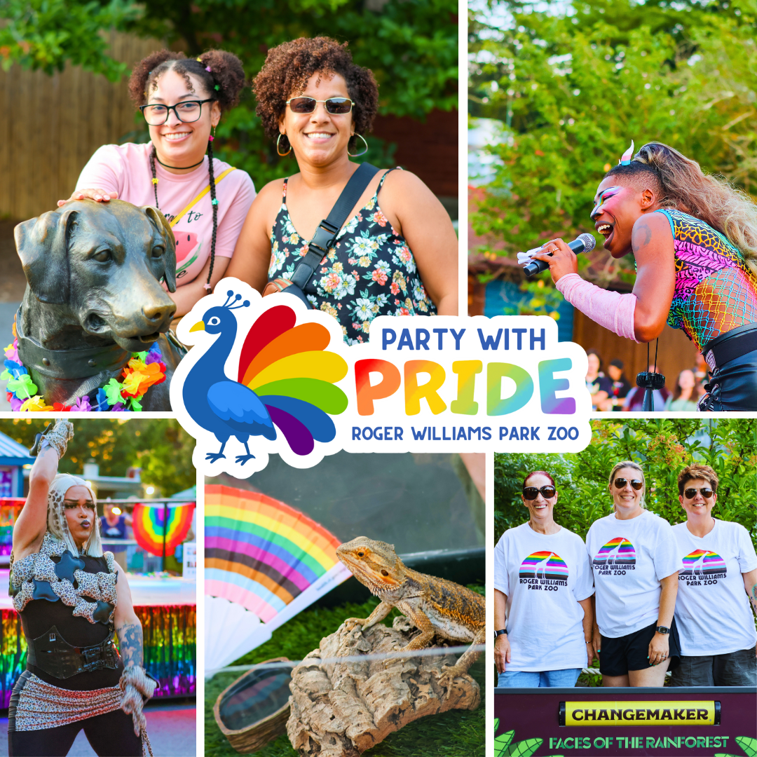 Party with Pride