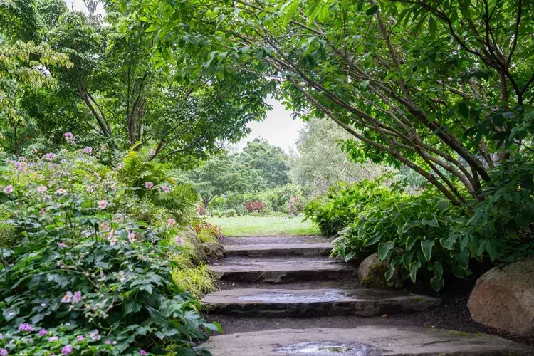 Salt Bay Chamberfest @ the Gardens
