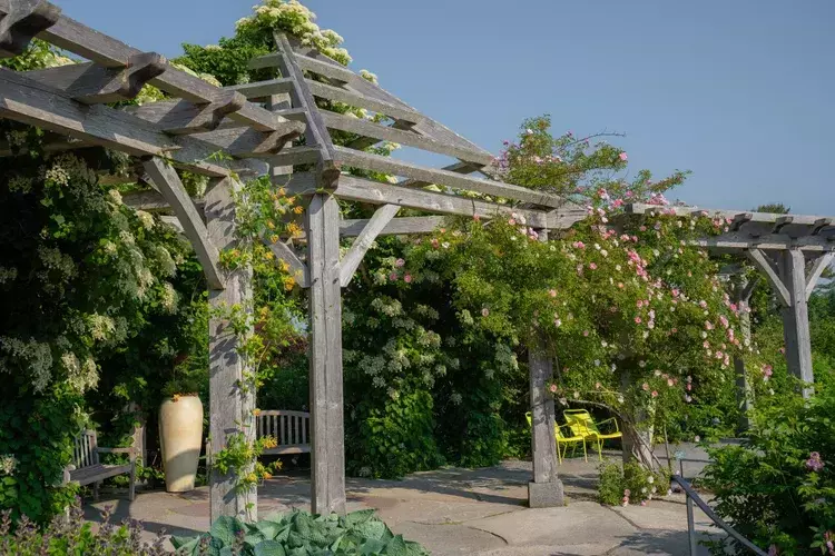 Salt Bay Chamberfest @ the Gardens