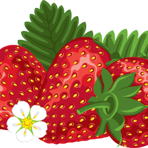 Strawberry Fest