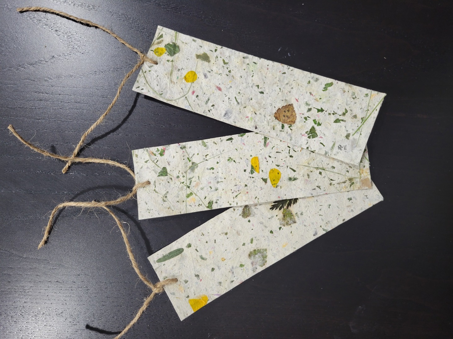 Making Paper Bookmarks with Invasive Plants with Joshua Ralph