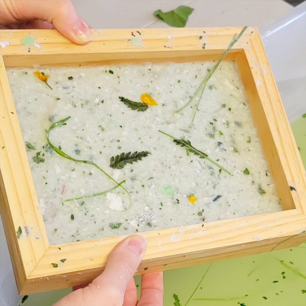 Making Paper Bookmarks with Invasive Plants with Joshua Ralph - Making Paper Bookmarks with Invasive Plants with Joshua Ralph