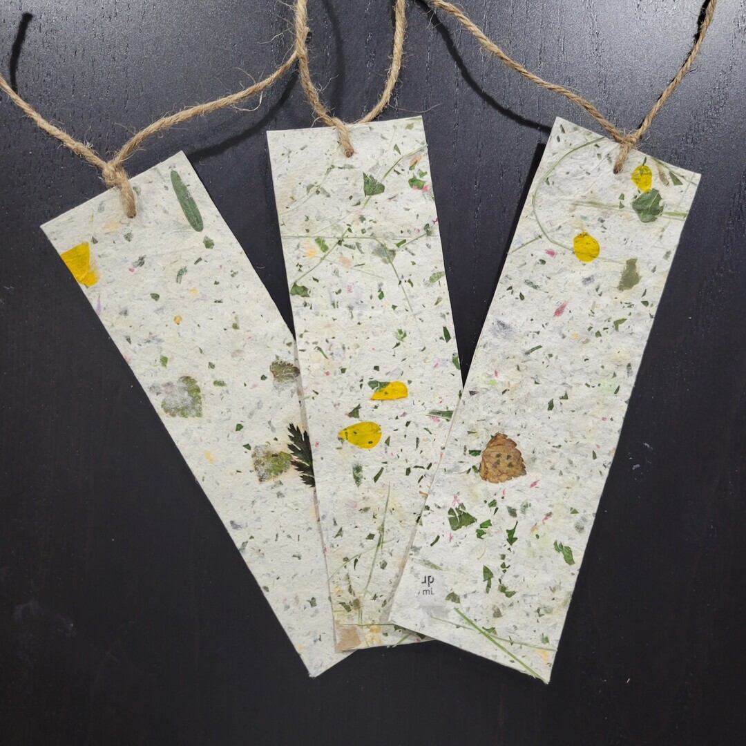 Making Paper Bookmarks with Invasive Plants with Joshua Ralph - Making Paper Bookmarks with Invasive Plants with Joshua Ralph
