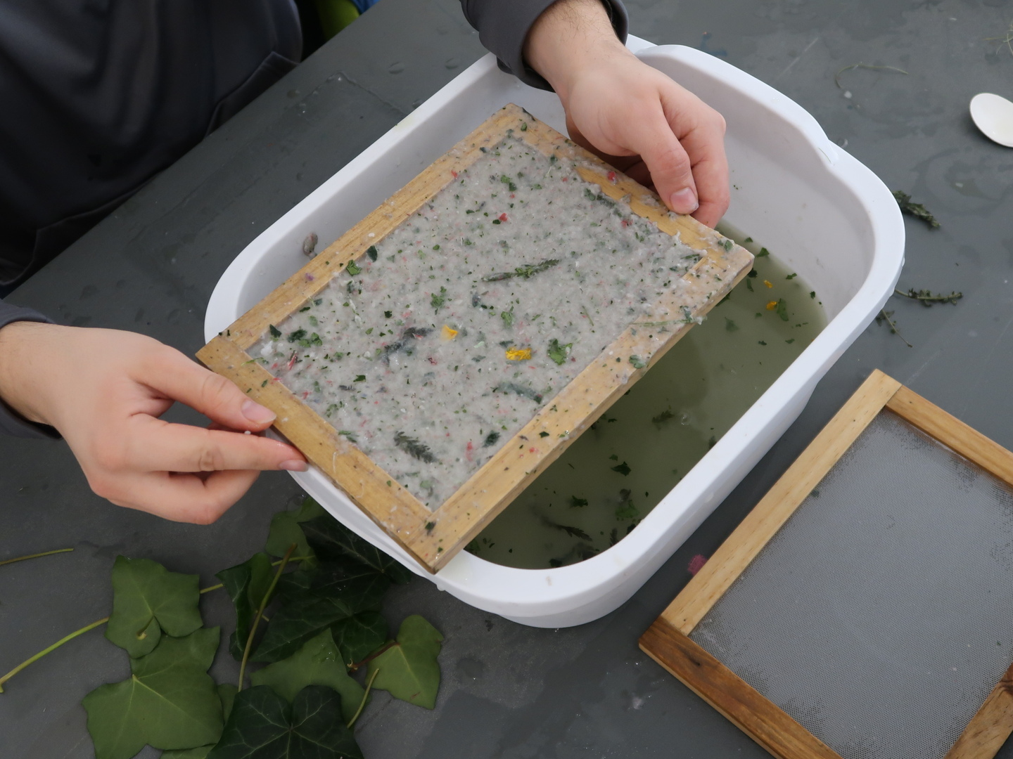 Making Paper Bookmarks with Invasive Plants with Joshua Ralph - Making Paper Bookmarks with Invasive Plants with Joshua Ralph
