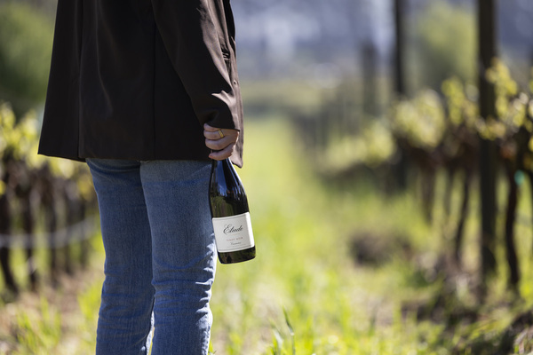 2024 Pinot Noir Release Party