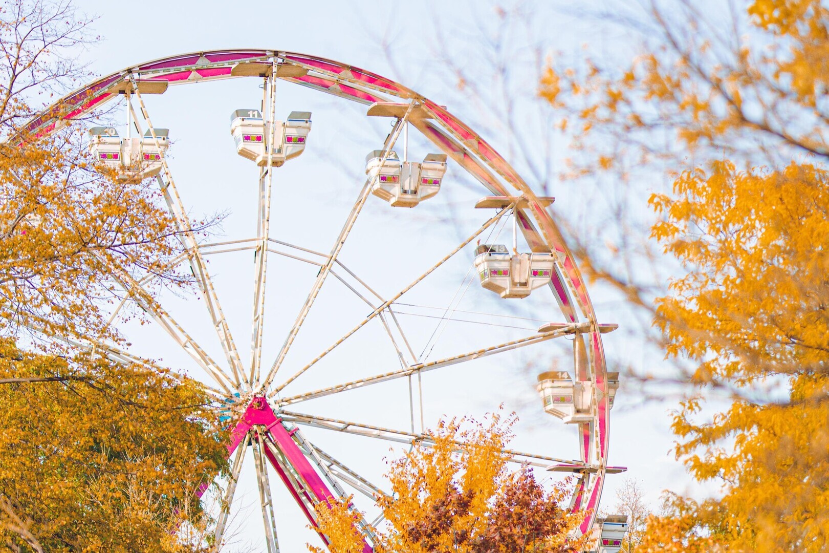 Fall Fest at Lincoln Park Zoo