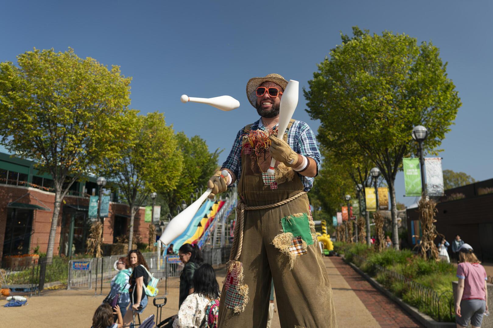 Fall Fest at Lincoln Park Zoo - Fall Fest at Lincoln Park Zoo