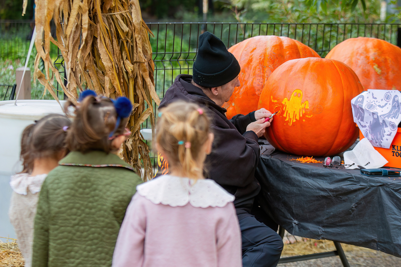 Fall Fest at Lincoln Park Zoo - Fall Fest at Lincoln Park Zoo