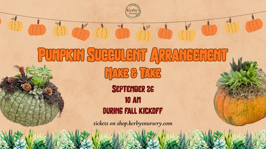 Pumpkin Succulent Arrangement Make & Take at Kerby's Nursery on September 26, 2026