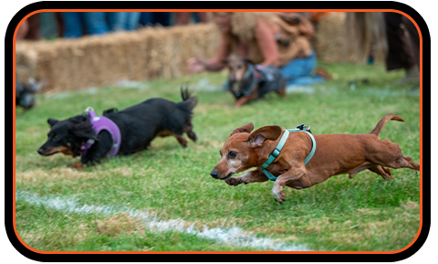 BrewFest is Back at Mohegan Pennsylvania on September 12th - BrewFest is Back at Mohegan Pennsylvania on September 12th